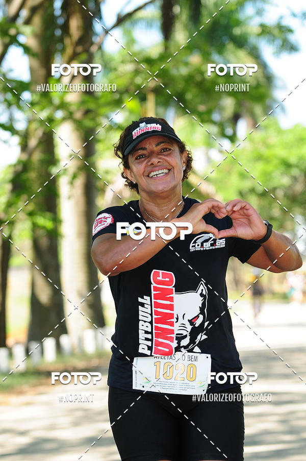 Buy your photos of the eventPIT BULL RUNNING on Fotop