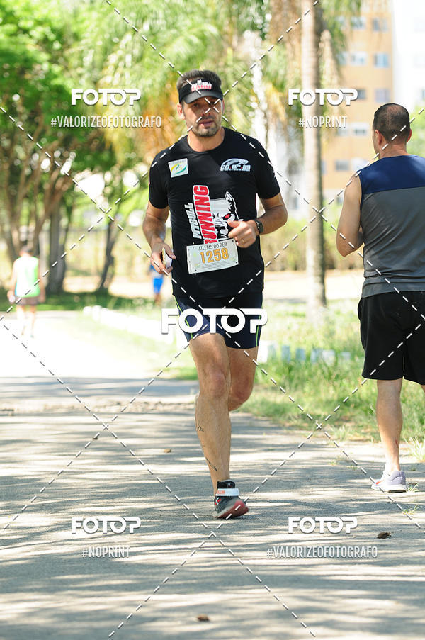 Buy your photos of the eventPIT BULL RUNNING on Fotop