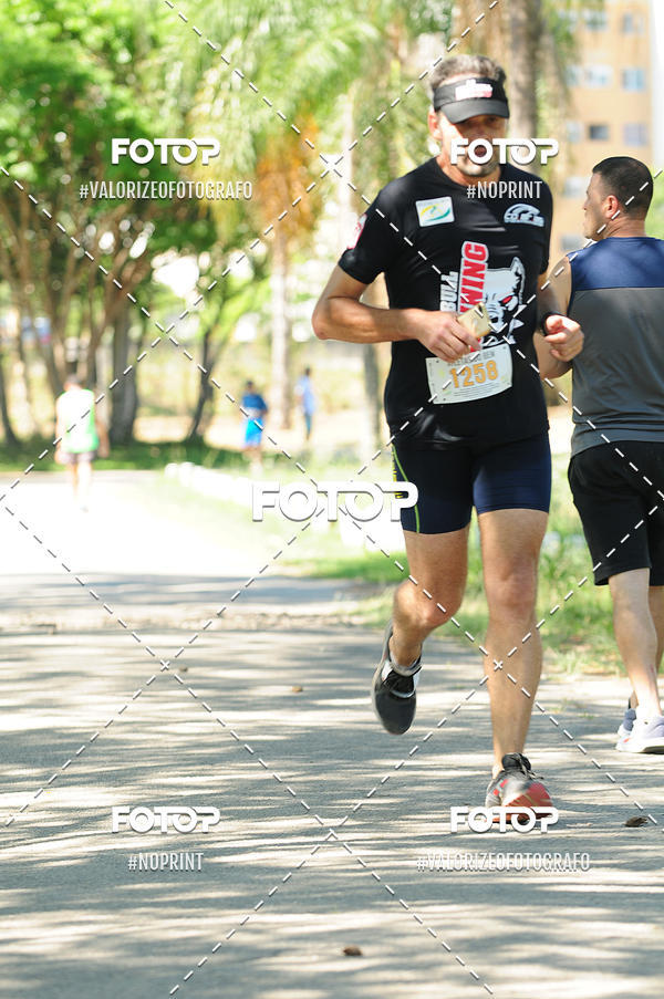 Buy your photos of the eventPIT BULL RUNNING on Fotop