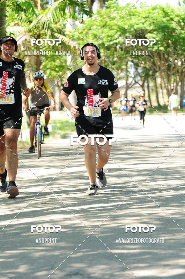 Buy your photos of the eventPIT BULL RUNNING on Fotop