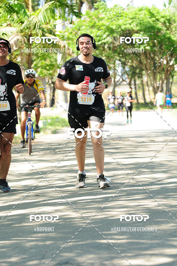 Buy your photos of the eventPIT BULL RUNNING on Fotop