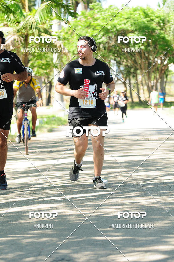 Buy your photos of the eventPIT BULL RUNNING on Fotop