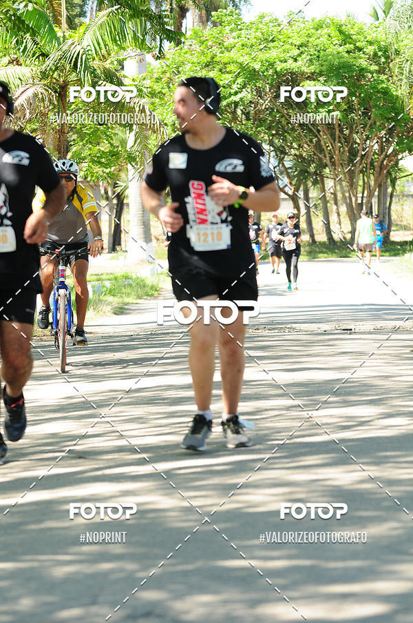 Buy your photos of the eventPIT BULL RUNNING on Fotop