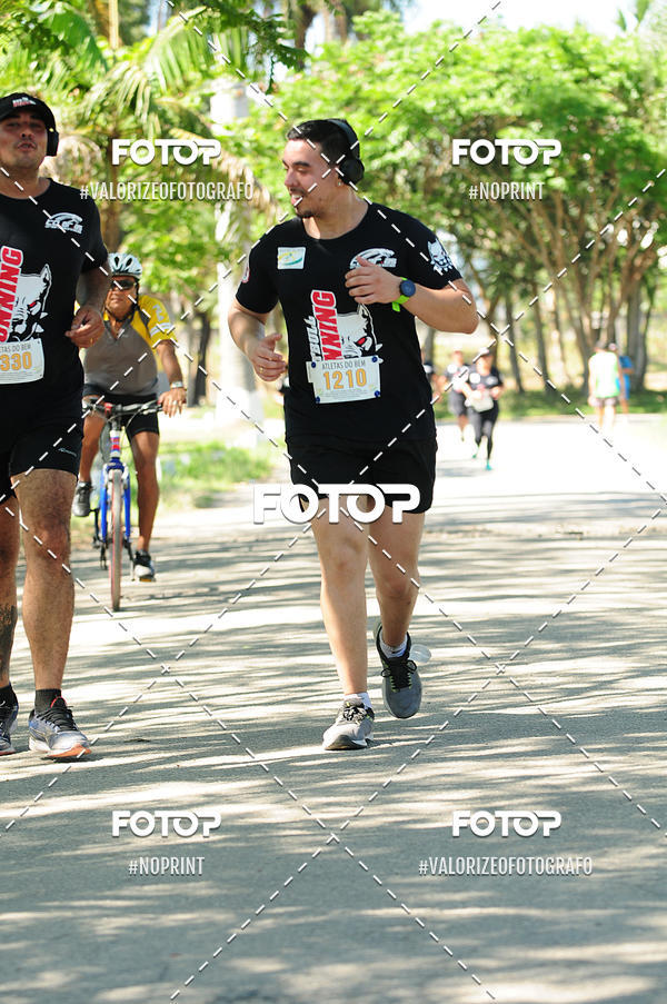 Buy your photos of the eventPIT BULL RUNNING on Fotop