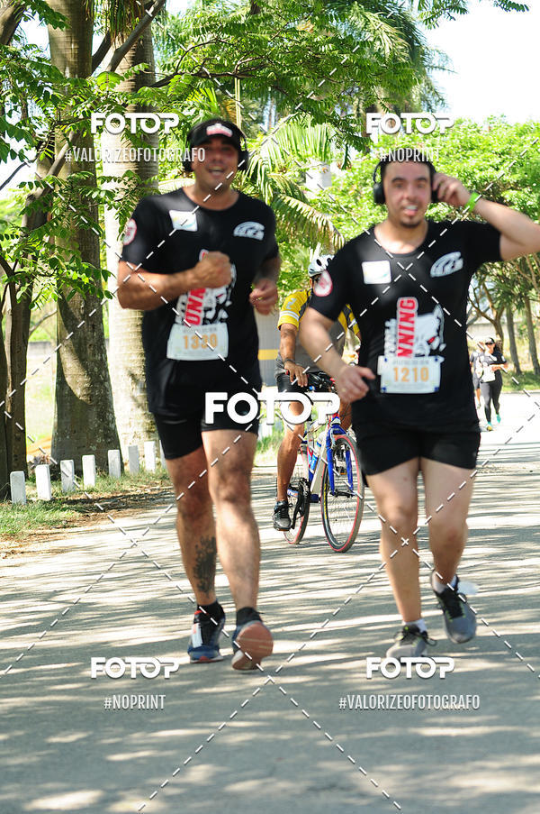 Buy your photos of the eventPIT BULL RUNNING on Fotop