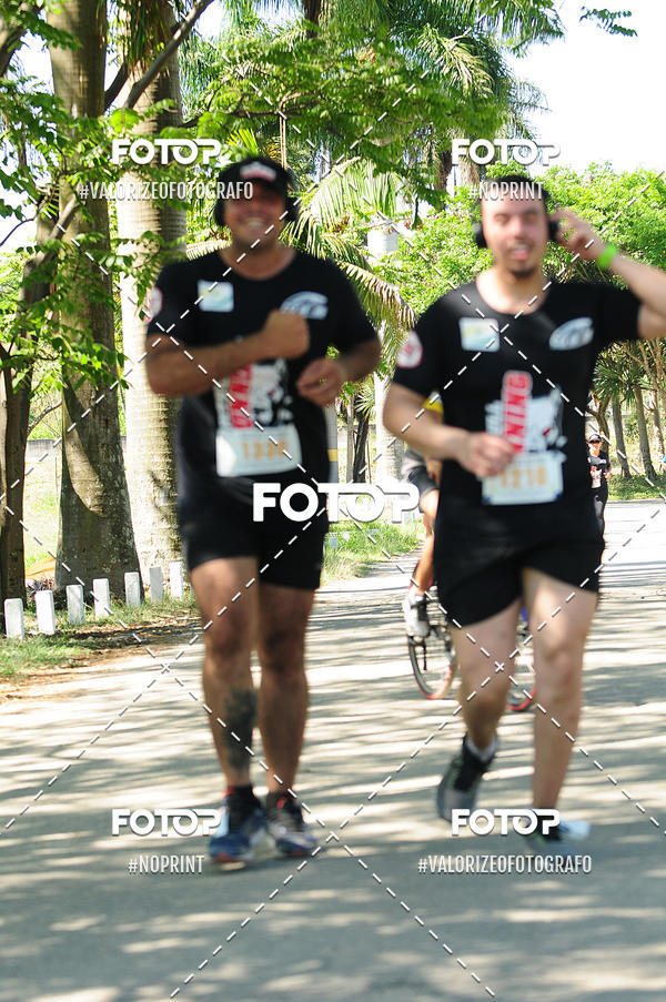 Buy your photos of the eventPIT BULL RUNNING on Fotop