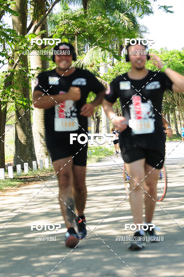 Buy your photos of the eventPIT BULL RUNNING on Fotop