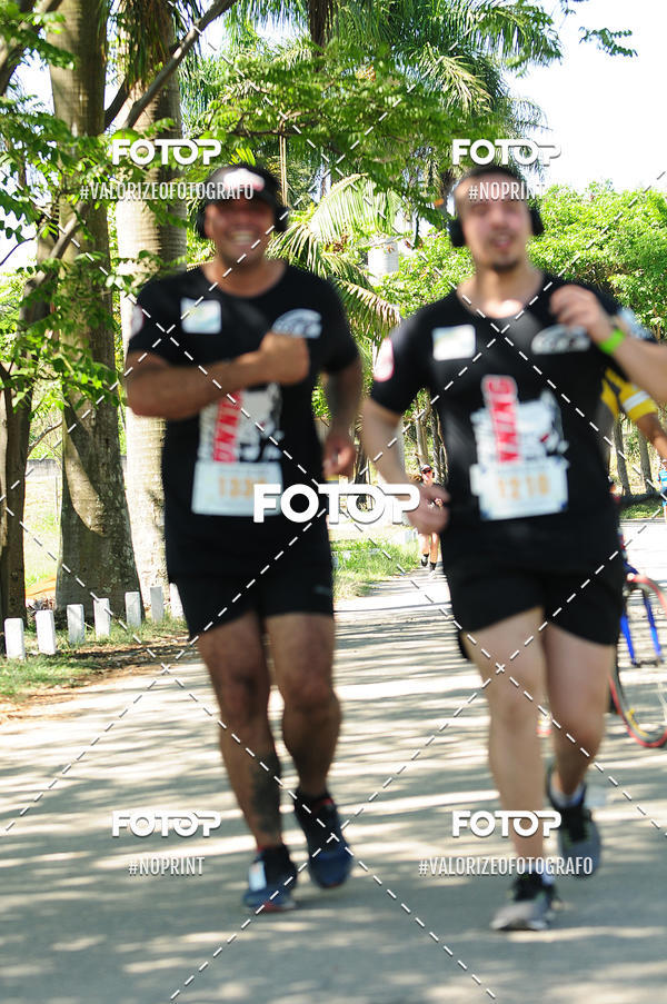 Buy your photos of the eventPIT BULL RUNNING on Fotop