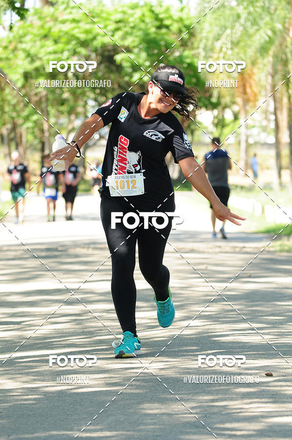 Buy your photos of the eventPIT BULL RUNNING on Fotop