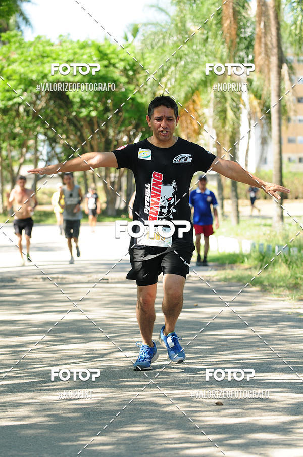 Buy your photos of the eventPIT BULL RUNNING on Fotop