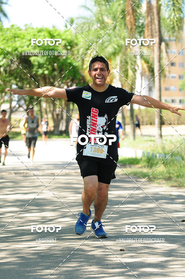 Buy your photos of the eventPIT BULL RUNNING on Fotop