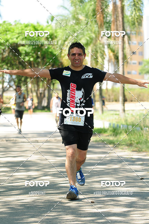 Buy your photos of the eventPIT BULL RUNNING on Fotop