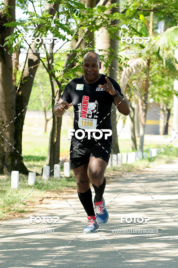 Buy your photos of the eventPIT BULL RUNNING on Fotop