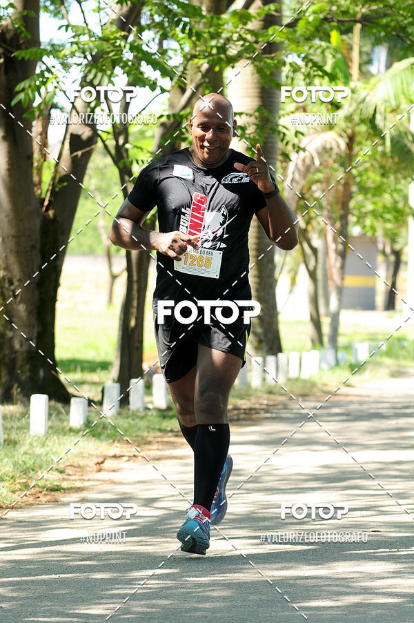 Buy your photos of the eventPIT BULL RUNNING on Fotop