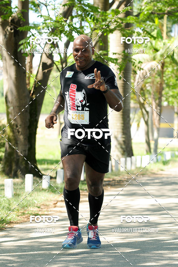 Buy your photos of the eventPIT BULL RUNNING on Fotop
