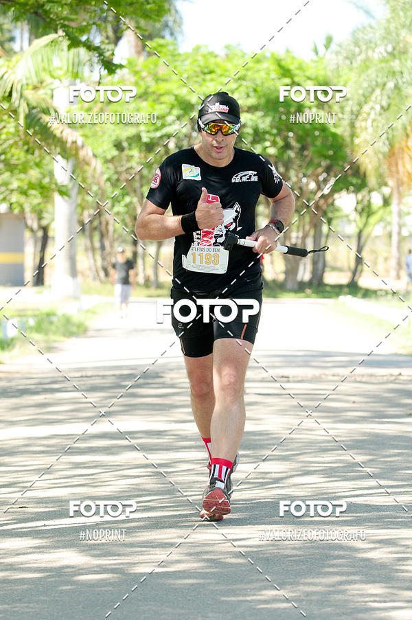 Buy your photos of the eventPIT BULL RUNNING on Fotop