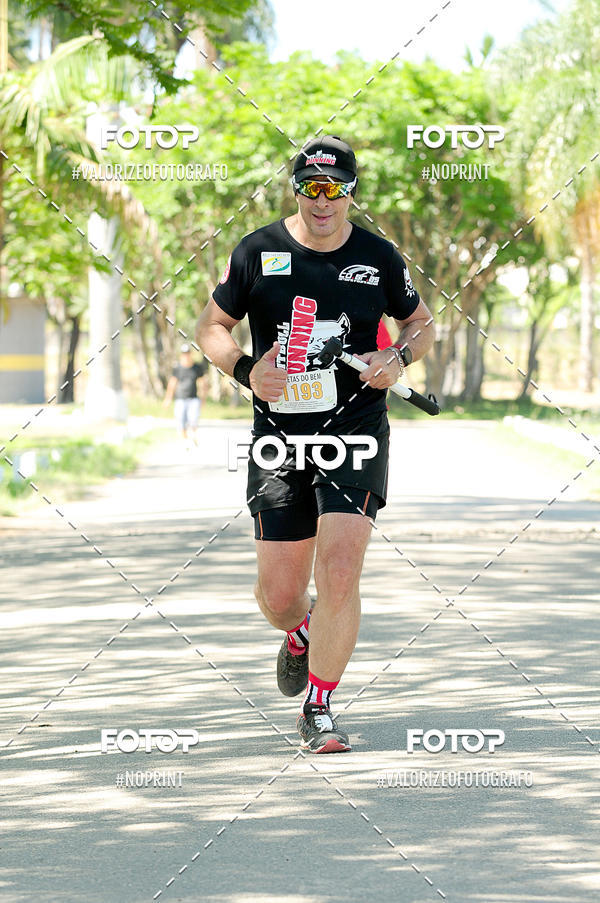 Buy your photos of the eventPIT BULL RUNNING on Fotop