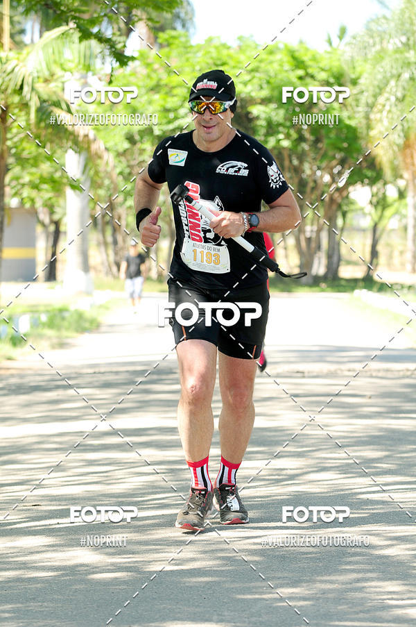 Buy your photos of the eventPIT BULL RUNNING on Fotop