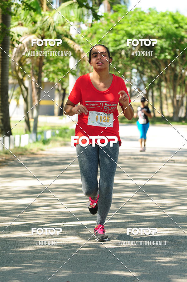 Buy your photos of the eventPIT BULL RUNNING on Fotop