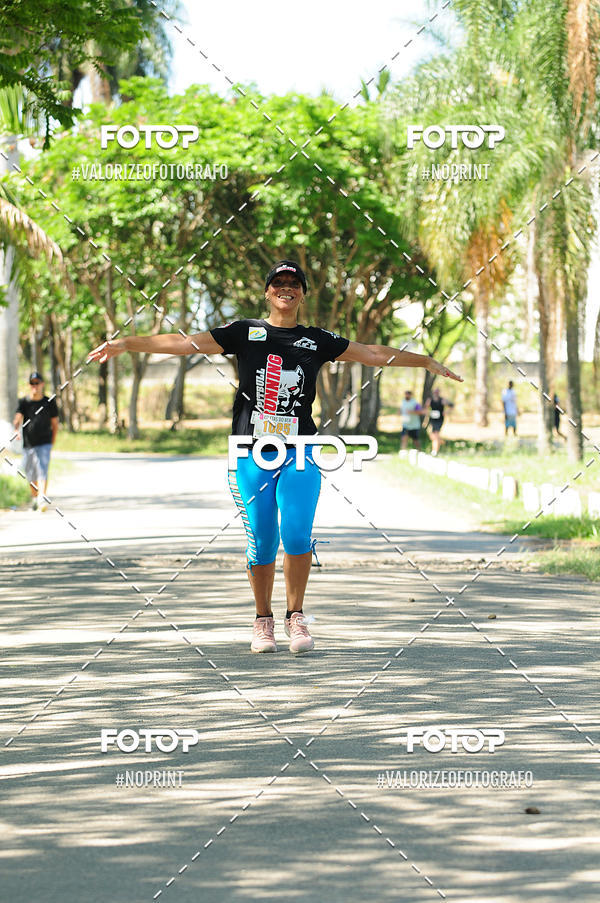 Buy your photos of the eventPIT BULL RUNNING on Fotop