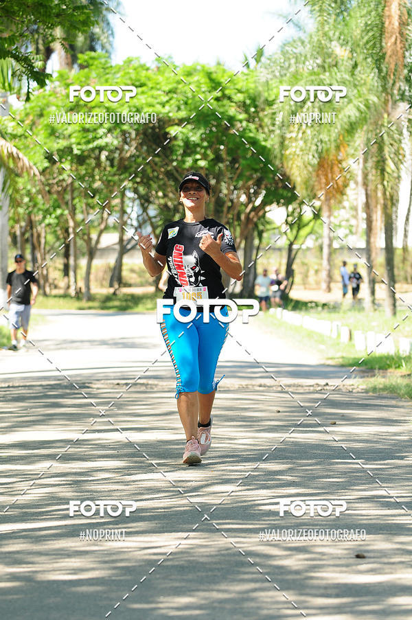 Buy your photos of the eventPIT BULL RUNNING on Fotop