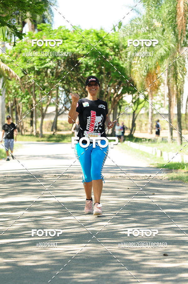 Buy your photos of the eventPIT BULL RUNNING on Fotop