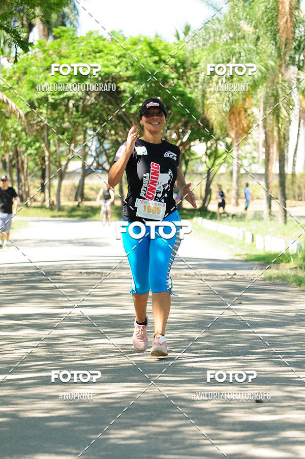 Buy your photos of the eventPIT BULL RUNNING on Fotop