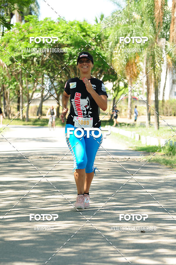 Buy your photos of the eventPIT BULL RUNNING on Fotop