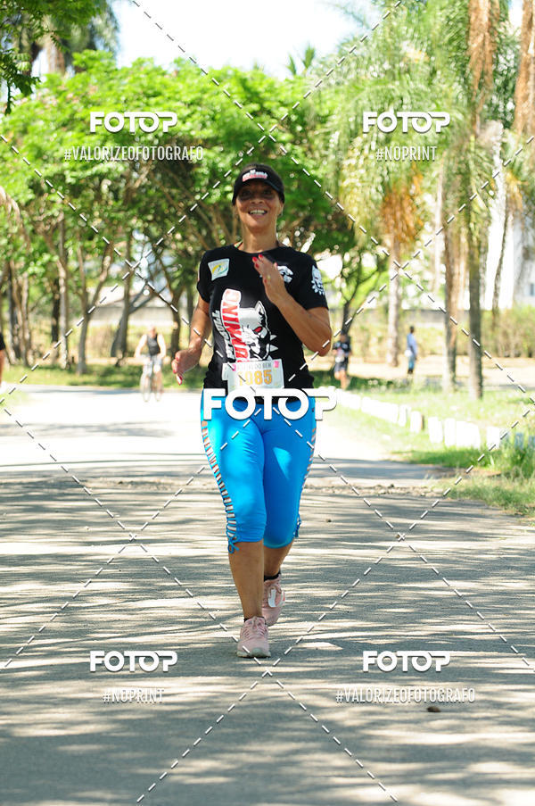 Buy your photos of the eventPIT BULL RUNNING on Fotop