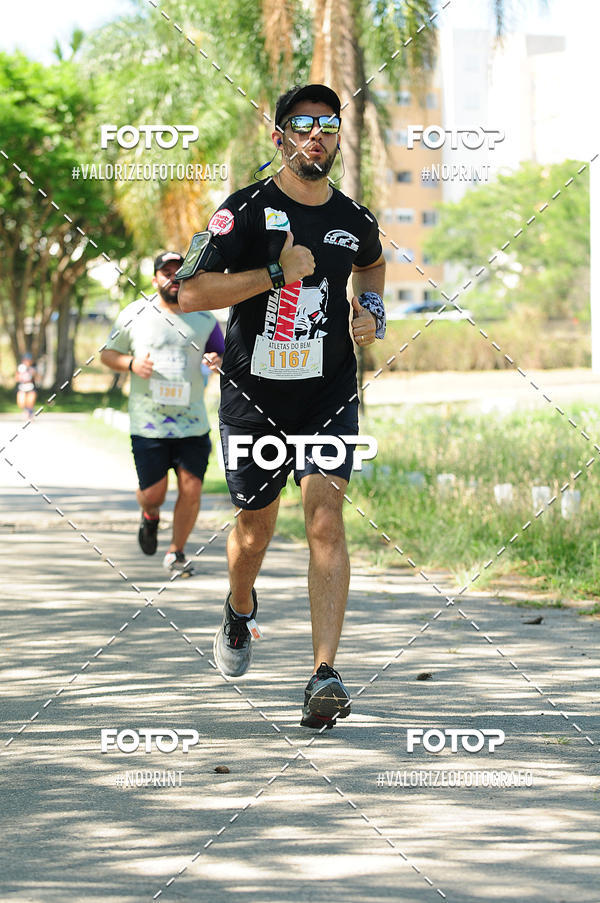 Buy your photos of the eventPIT BULL RUNNING on Fotop