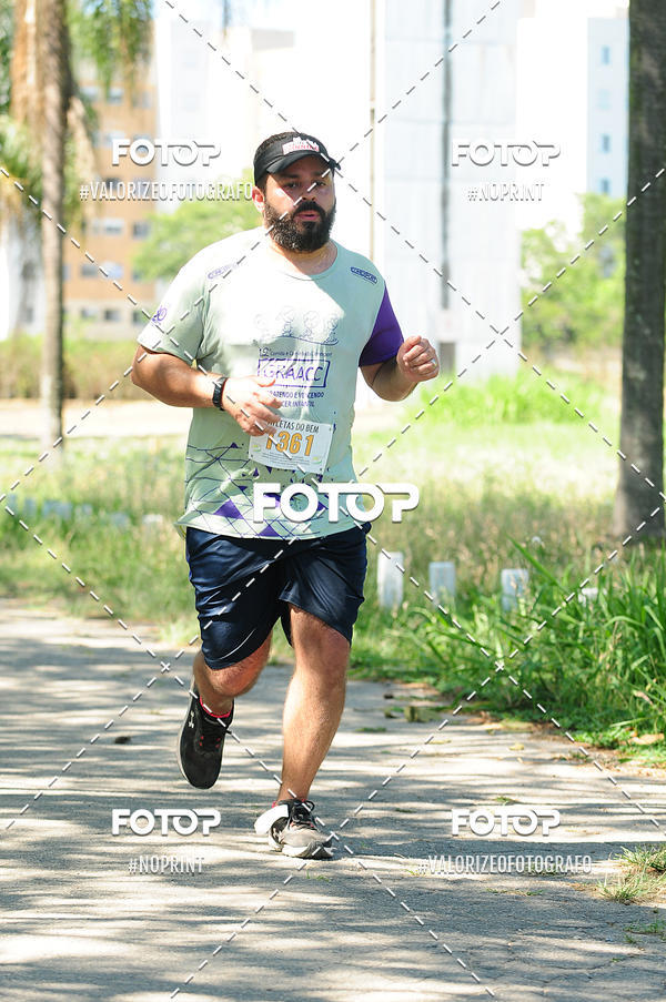 Buy your photos of the eventPIT BULL RUNNING on Fotop