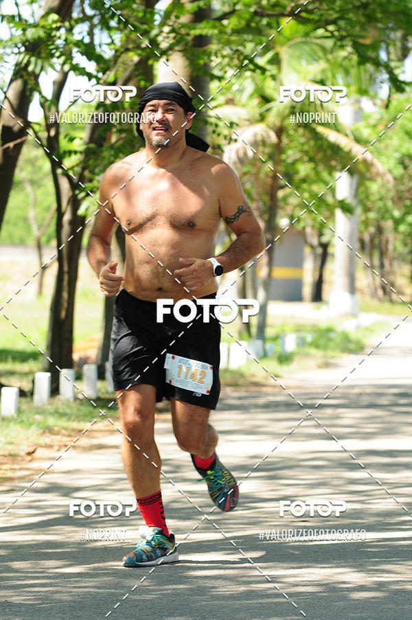 Buy your photos of the eventPIT BULL RUNNING on Fotop