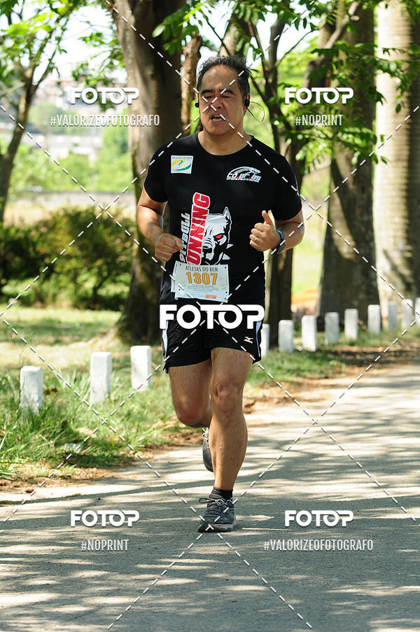 Buy your photos of the eventPIT BULL RUNNING on Fotop