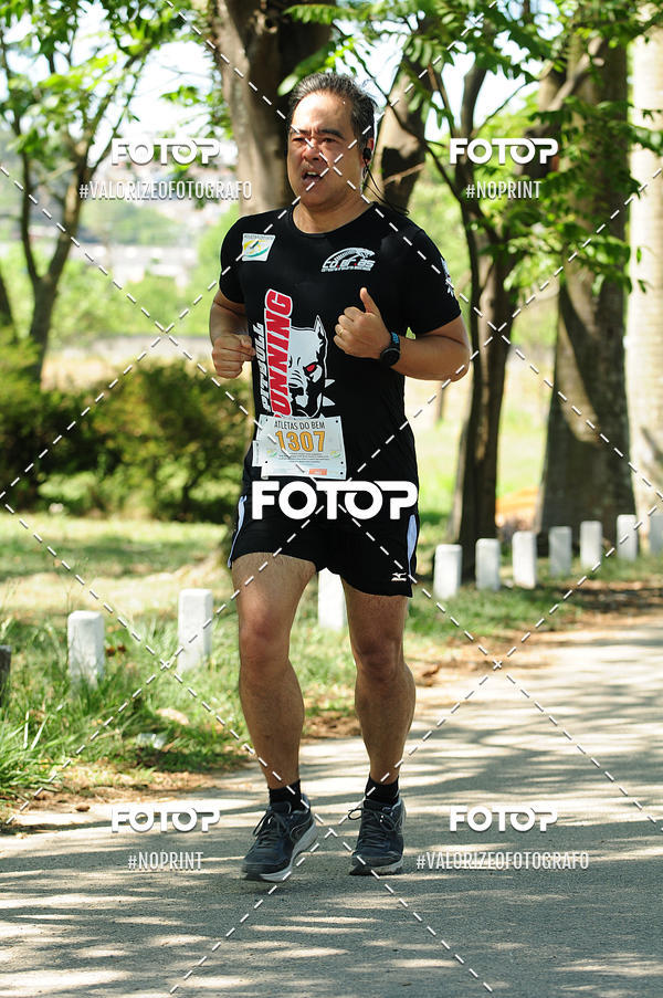 Buy your photos of the eventPIT BULL RUNNING on Fotop