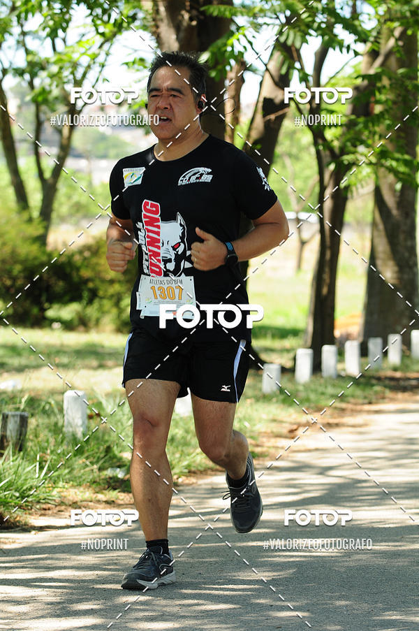 Buy your photos of the eventPIT BULL RUNNING on Fotop