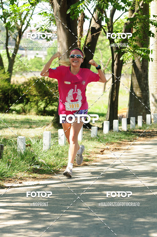 Buy your photos of the eventPIT BULL RUNNING on Fotop