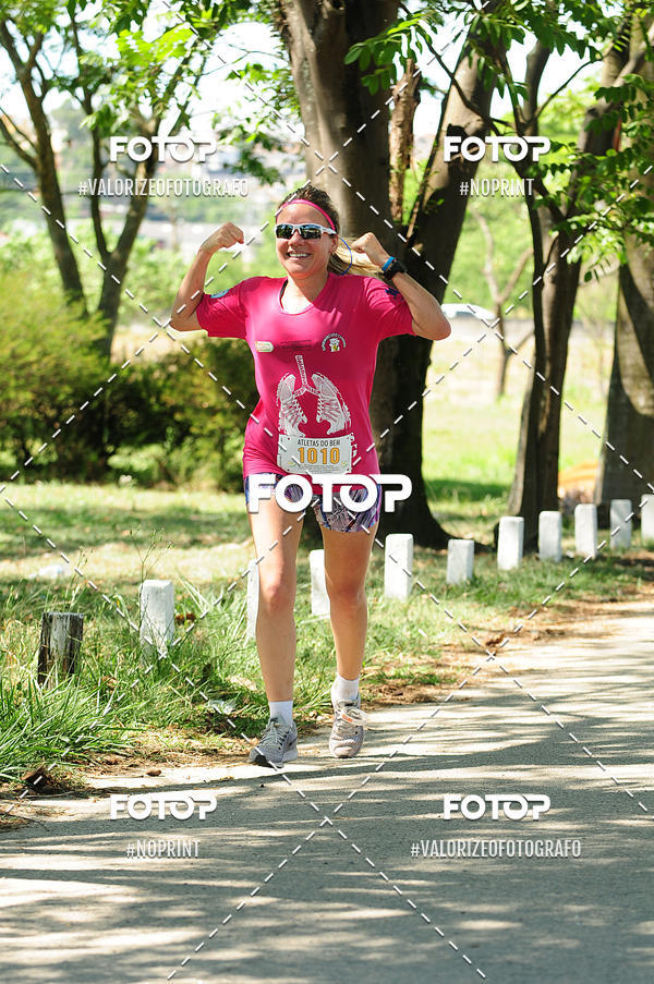 Buy your photos of the eventPIT BULL RUNNING on Fotop