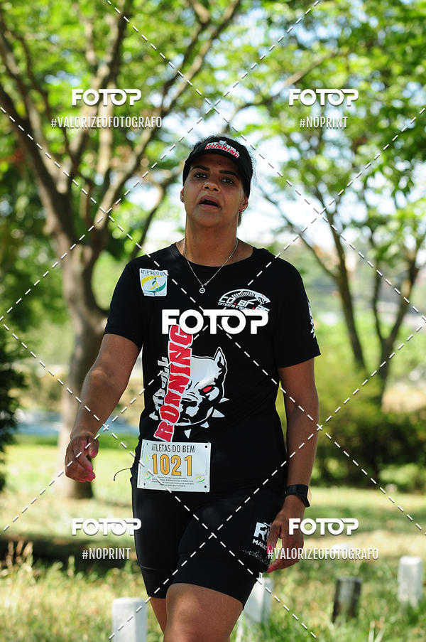 Buy your photos of the eventPIT BULL RUNNING on Fotop