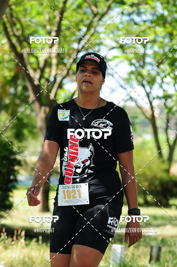 Buy your photos of the eventPIT BULL RUNNING on Fotop