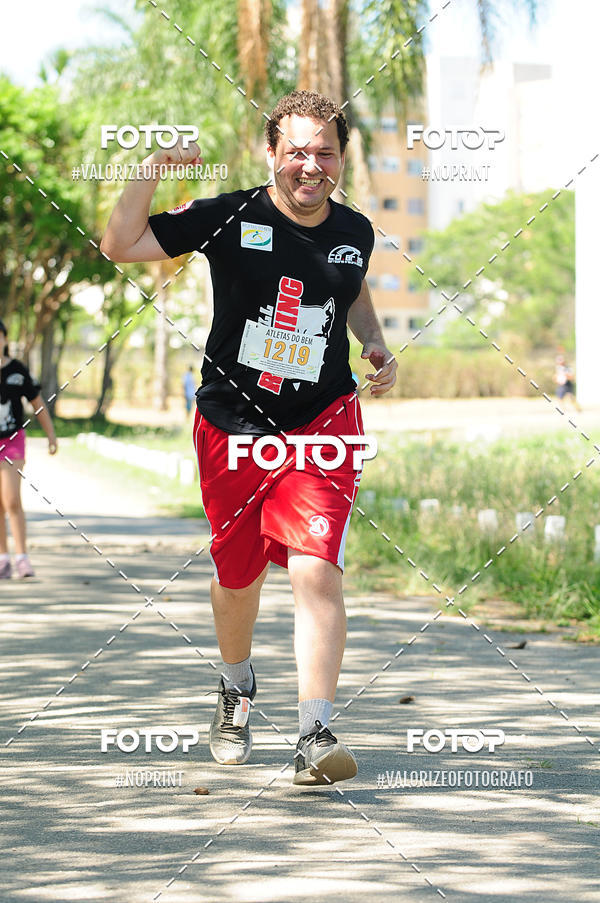 Buy your photos of the eventPIT BULL RUNNING on Fotop