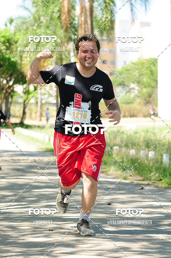 Buy your photos of the eventPIT BULL RUNNING on Fotop