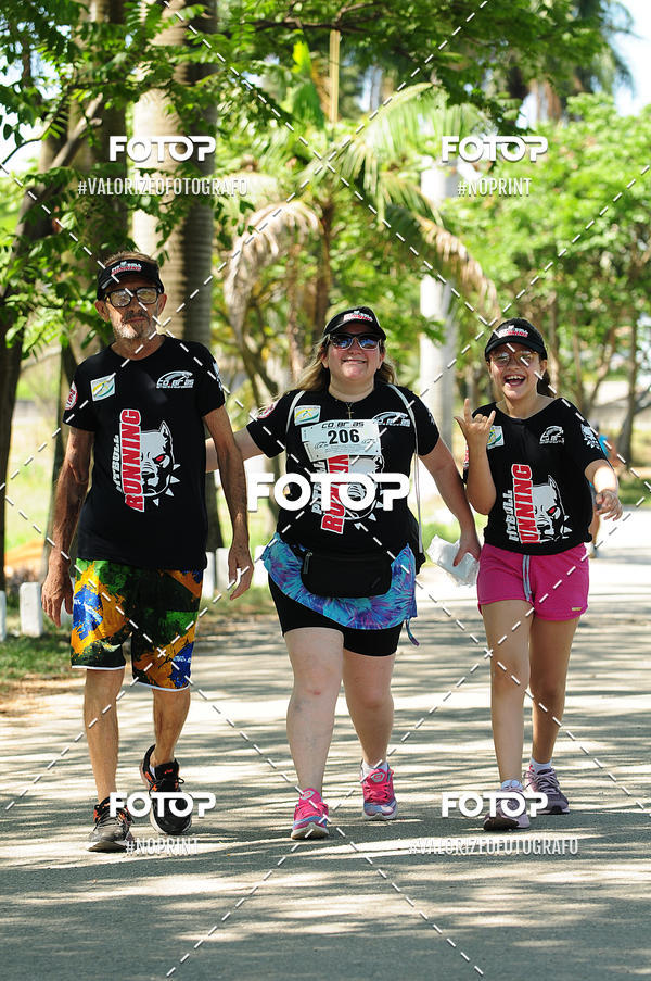 Buy your photos of the eventPIT BULL RUNNING on Fotop