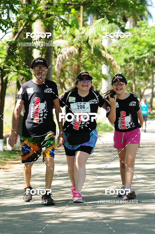 Buy your photos of the eventPIT BULL RUNNING on Fotop