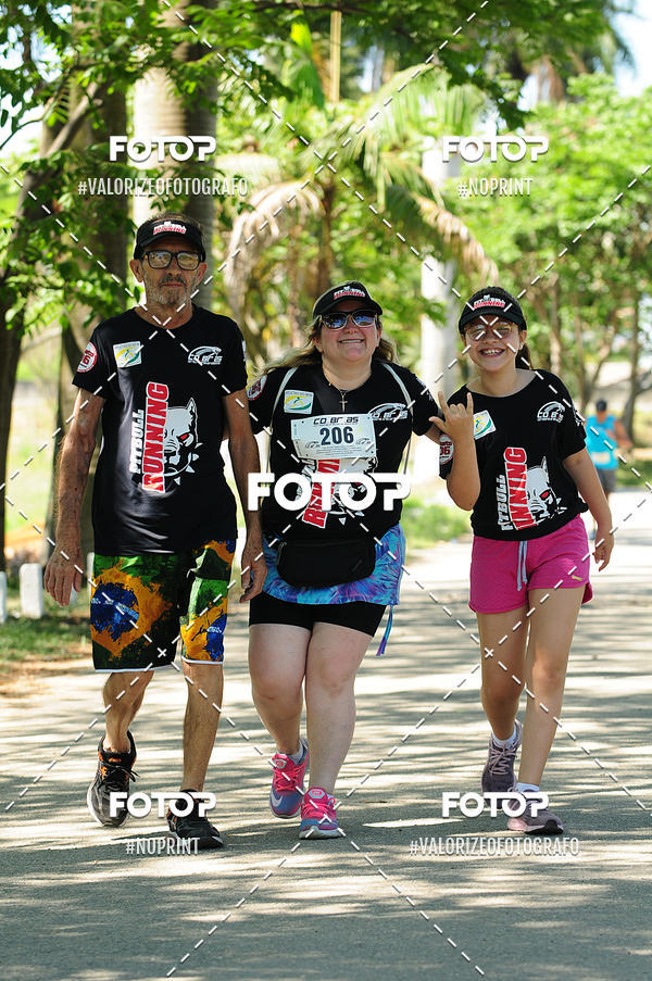 Buy your photos of the eventPIT BULL RUNNING on Fotop