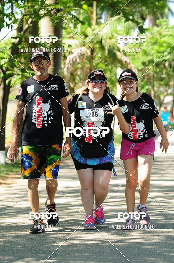 Buy your photos of the eventPIT BULL RUNNING on Fotop