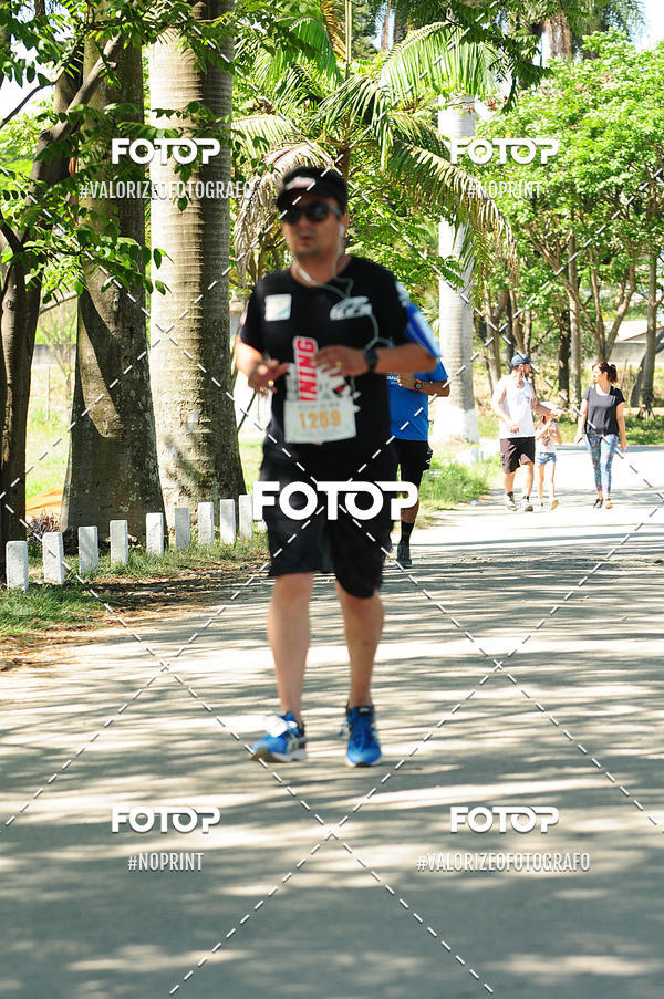 Buy your photos of the eventPIT BULL RUNNING on Fotop