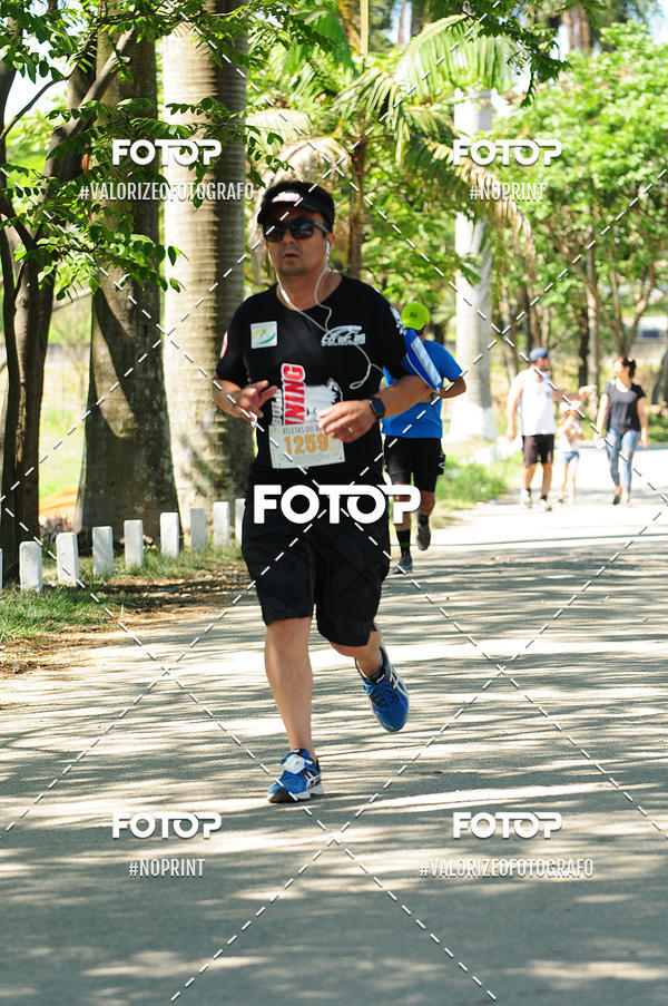 Buy your photos of the eventPIT BULL RUNNING on Fotop
