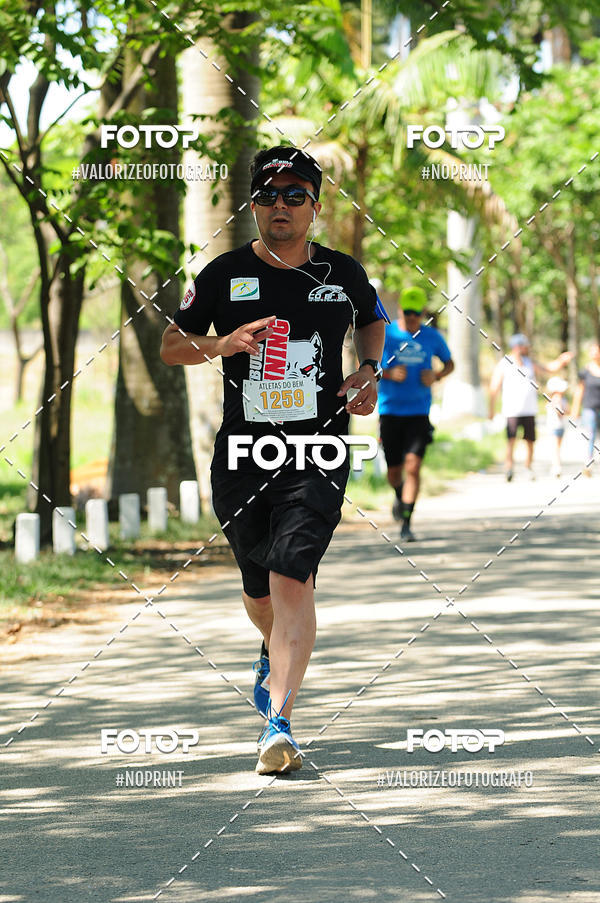 Buy your photos of the eventPIT BULL RUNNING on Fotop
