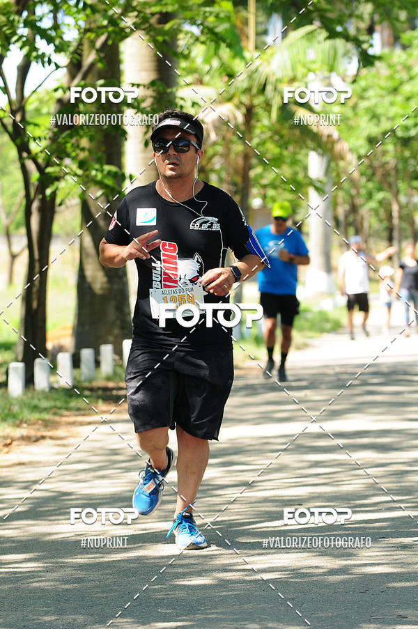 Buy your photos of the eventPIT BULL RUNNING on Fotop