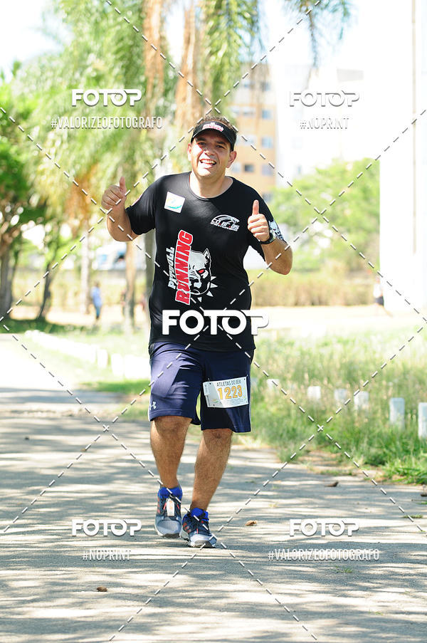 Buy your photos of the eventPIT BULL RUNNING on Fotop